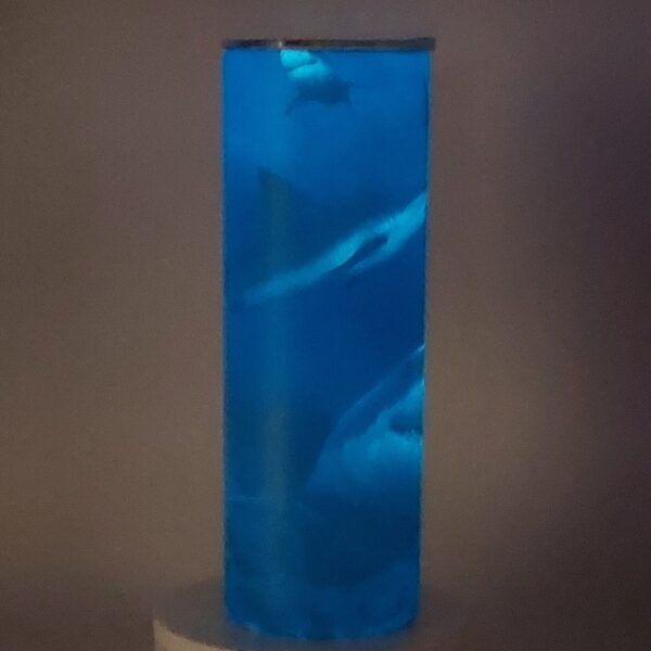 20 oz. Glow, Blue - Sharks - Image 7